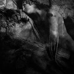 Misery (FRA-1) : Miséricordes